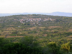vu des champs